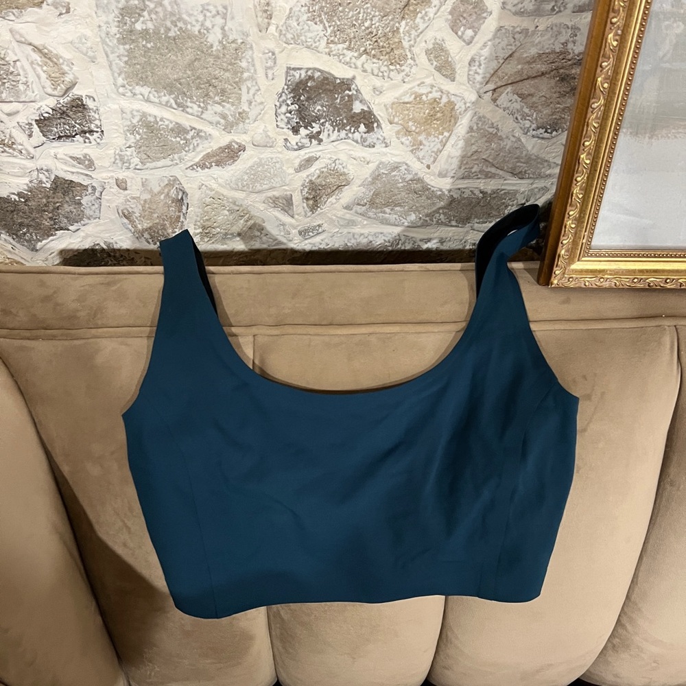 The Lab bra *RARE*